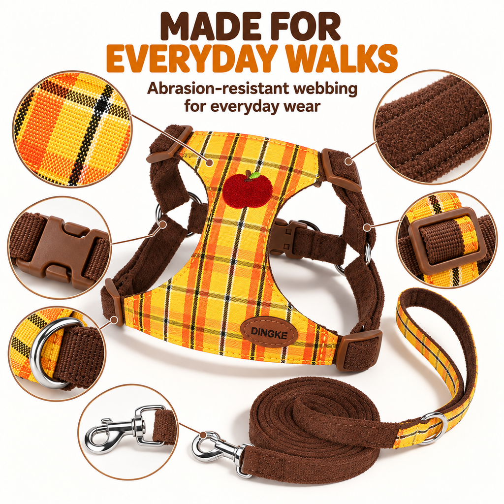 Dog harness and leash set features