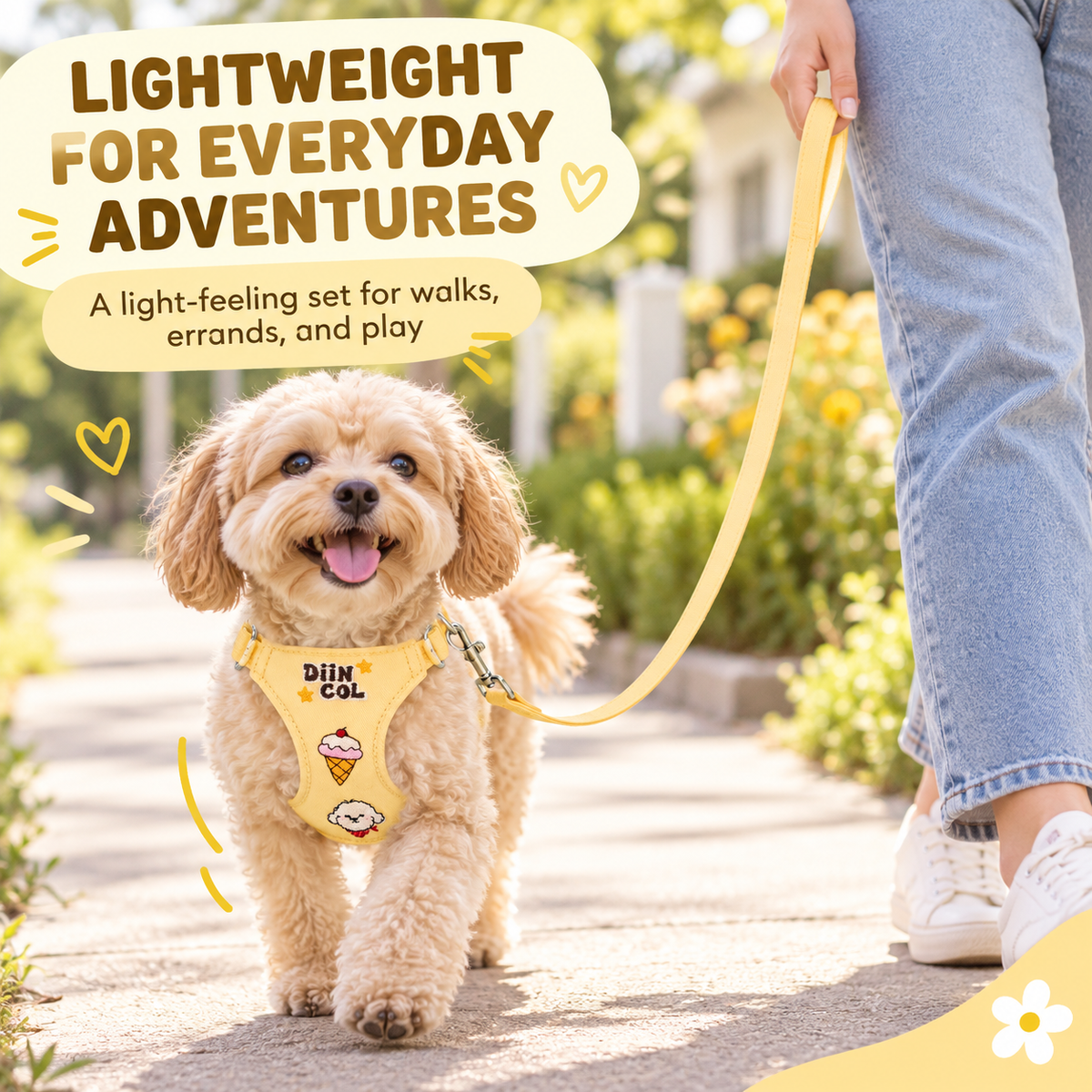 Paweno lightweight harness and leash set for everyday dog walks