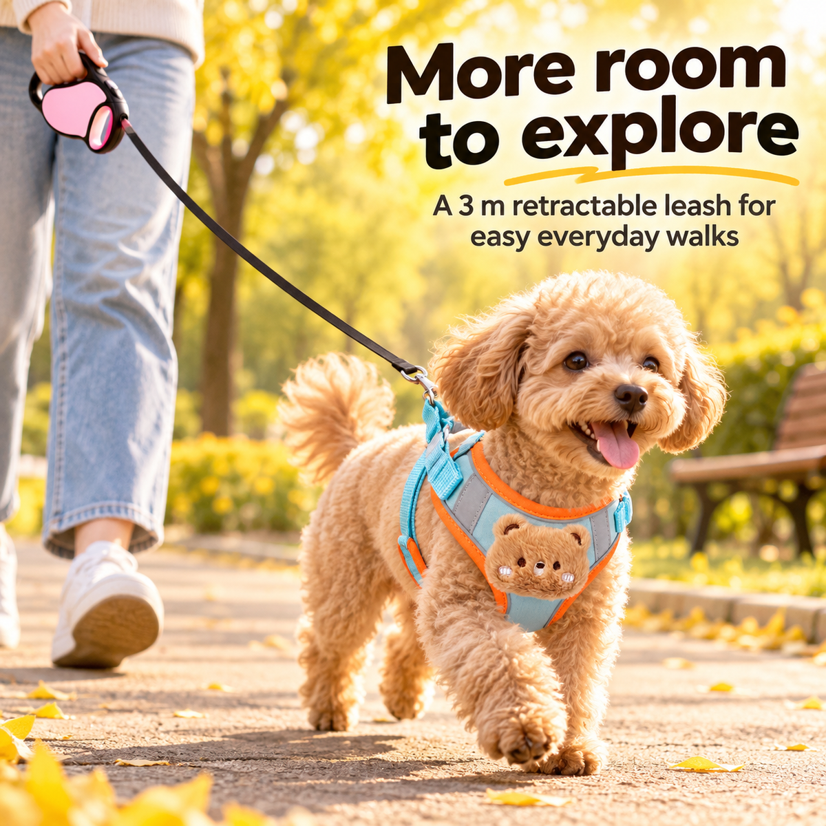 Dog wearing a blue and orange harness and retractable leash on a walk